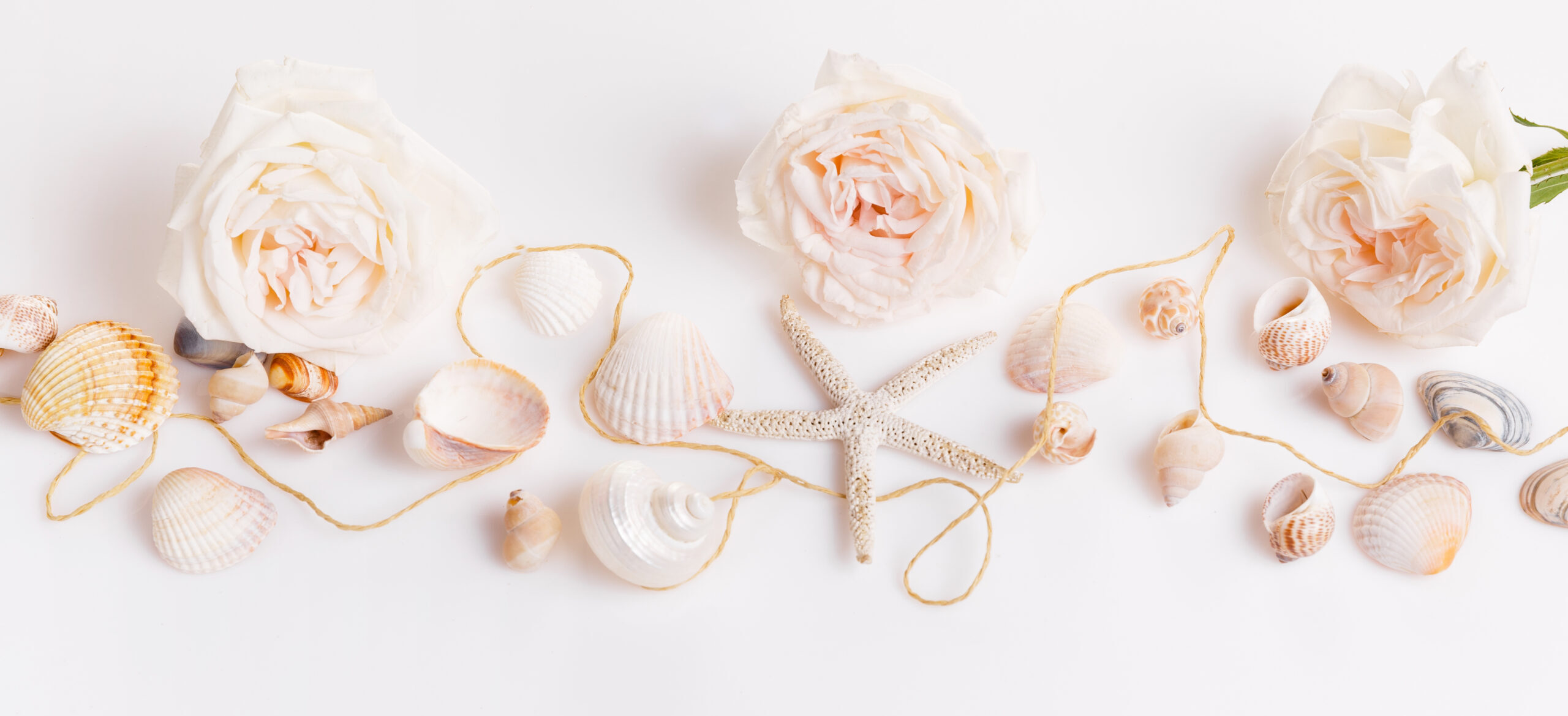 Festive flower delicate pink rose, seashells composition on the white background. Overhead top view, flat lay. Copy space. Birthday, Mother's, Valentines, Women's, Wedding Day concept.